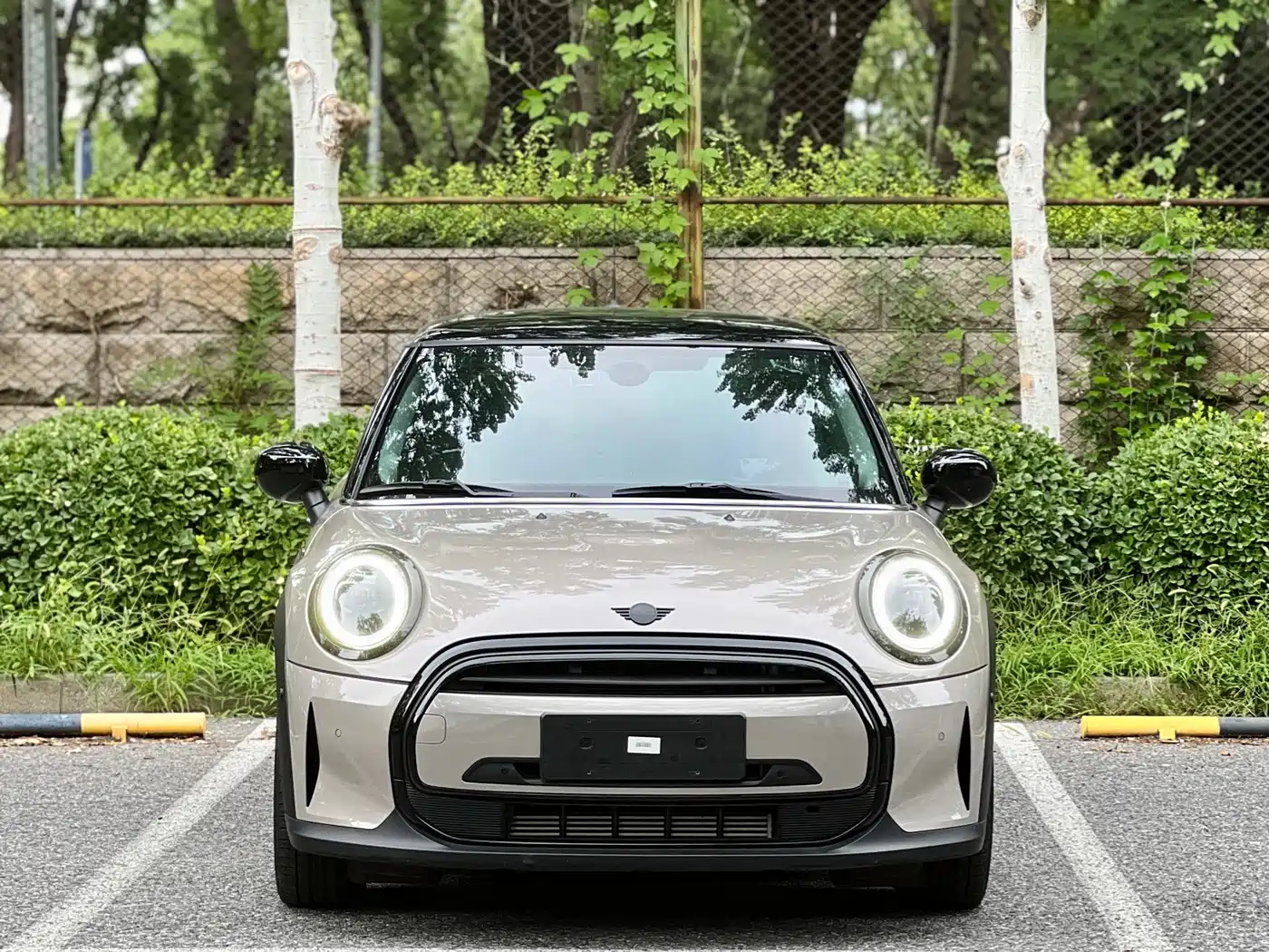 MINI MINI 2023 2023 1.5T COOPER Artist
