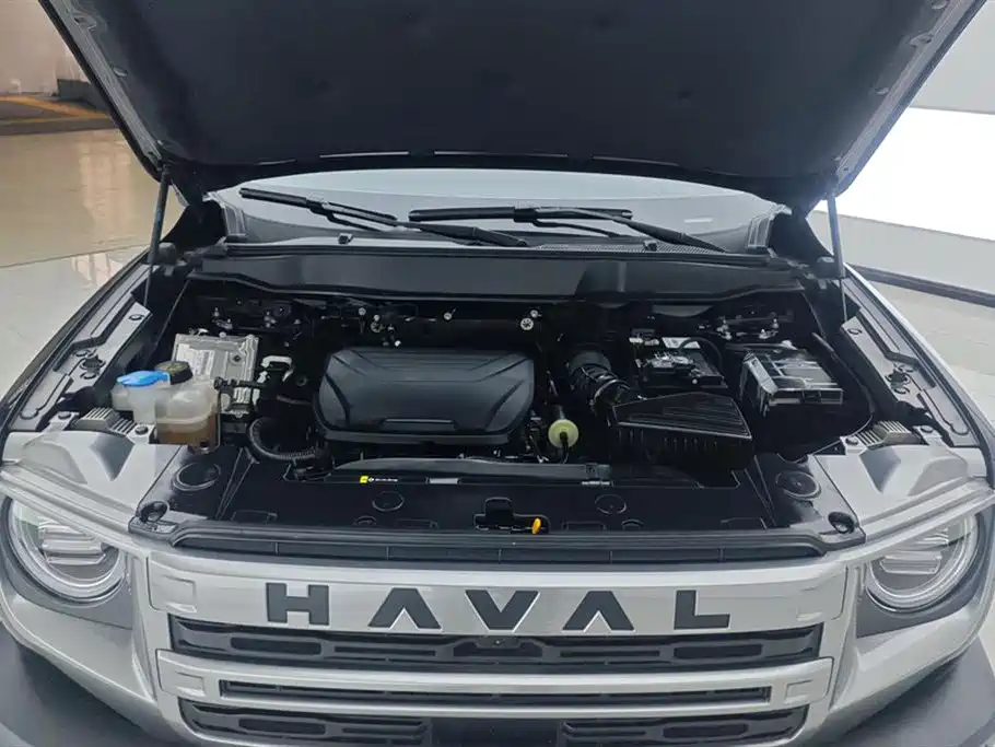 Haval Big Dog 2024 1.5T DCT Border Collie Edition фото 10