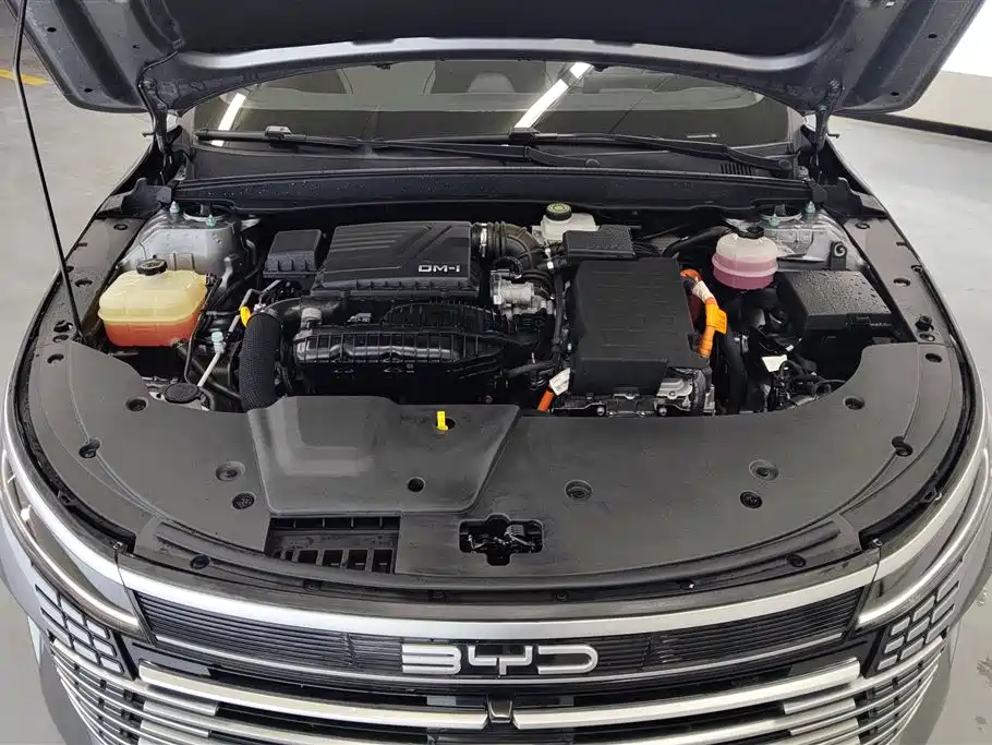 BYD Destroyer 05 2025 2024 Glory Edition DM-i 55KM Luxury