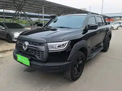 Great Wall Poer