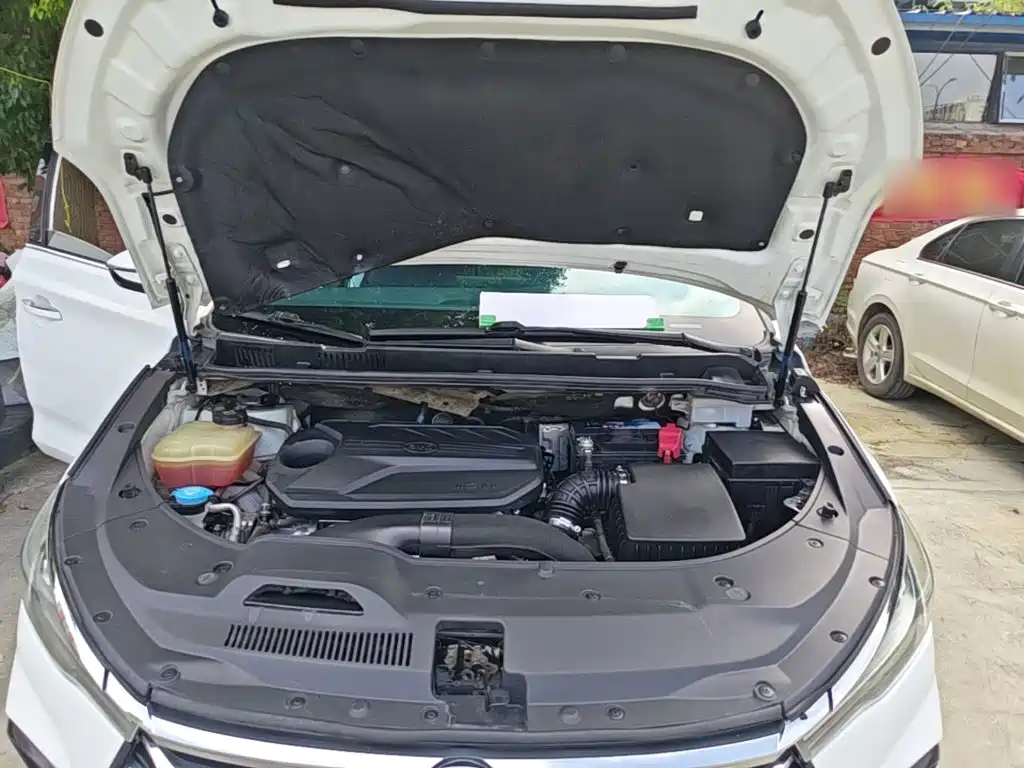 BYD Song MAX 2021 2021 Upgrade 1.5T Automatic Luxury Edition 7-Seater