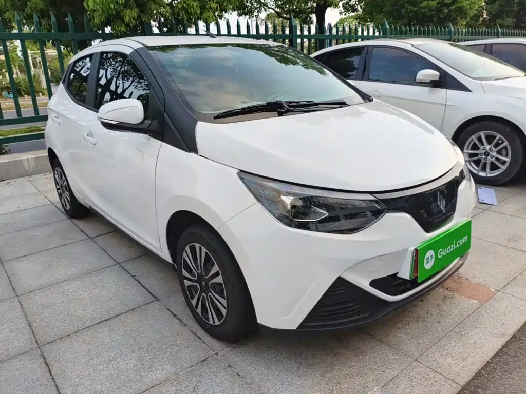 JMCG New Energy Little Kirin 2025 2024 201km Comfort Model