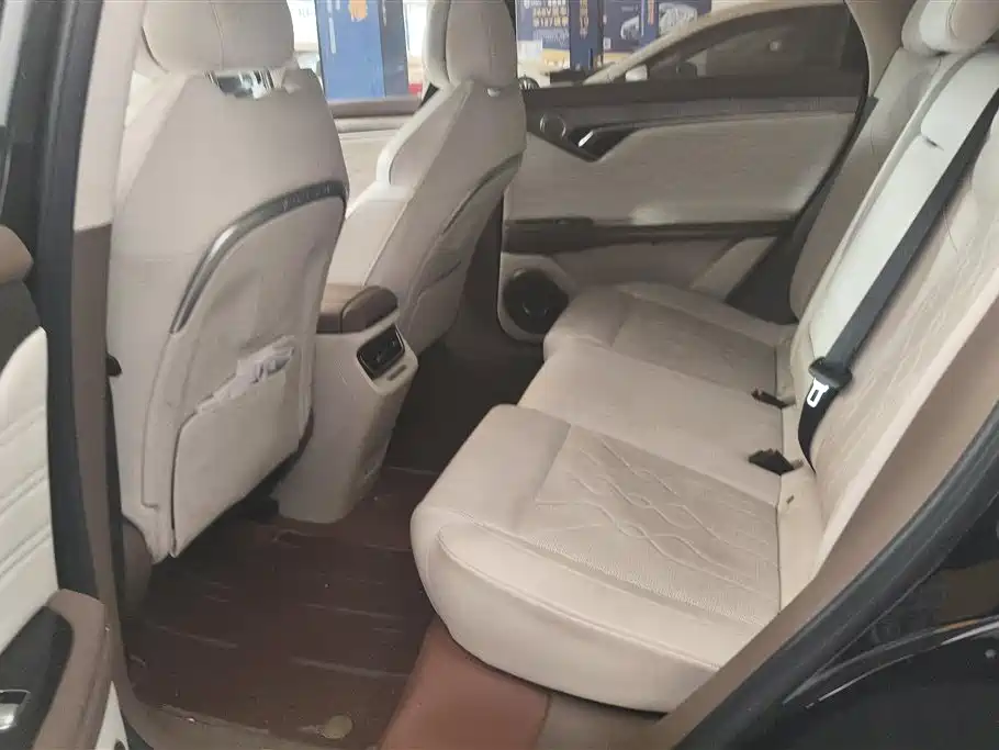Voyah Auto VOYAH FREE 2021 4WD Extended Range Launch Edition Exclusive Luxury Package фото 11
