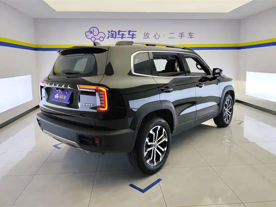 Haval Big Dog 2021 1.5T DCT 2WD Border Collie - Wangcai Edition фото 3