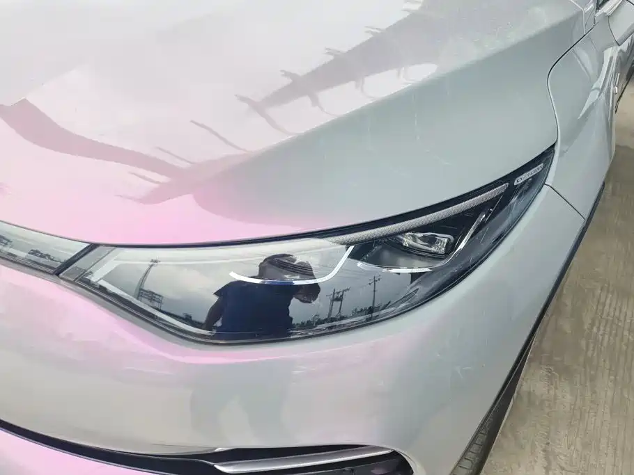 Denza X 2021 2020 Model PHEV Flagship Edition