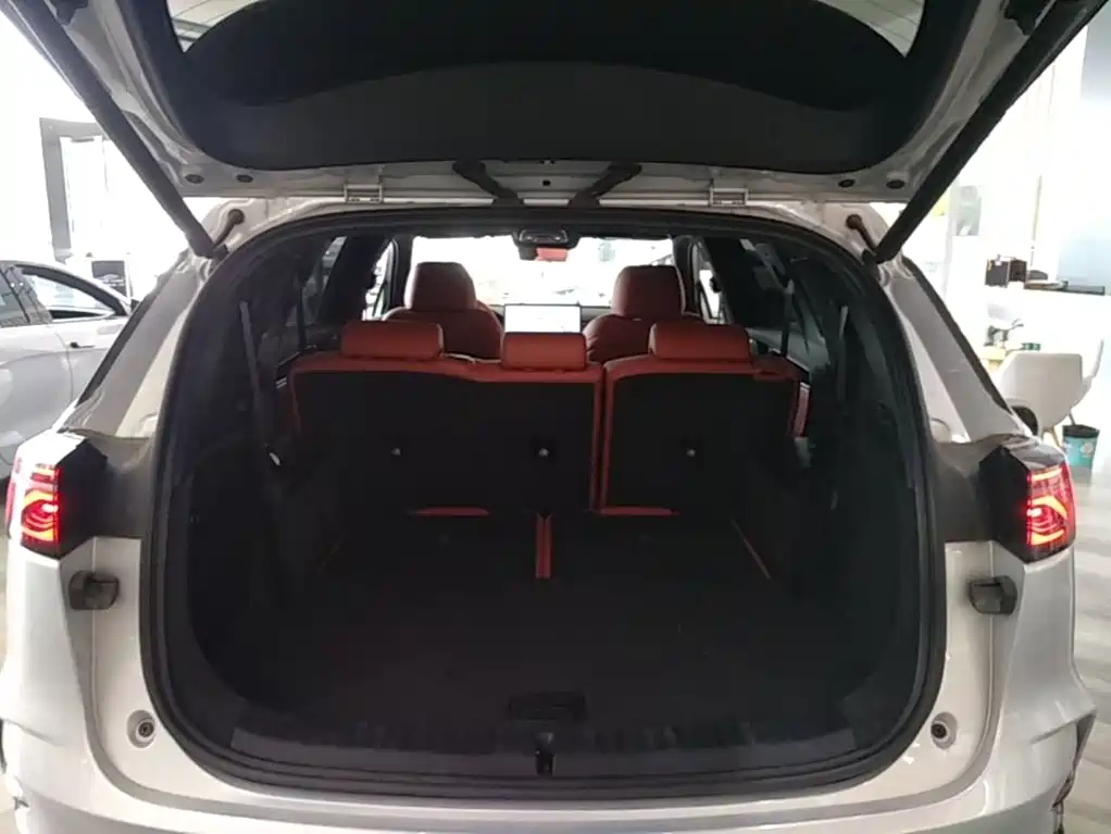 BYD Tang New Energy 2025 2026 Smart Drive Edition DM-i 160KM Premium