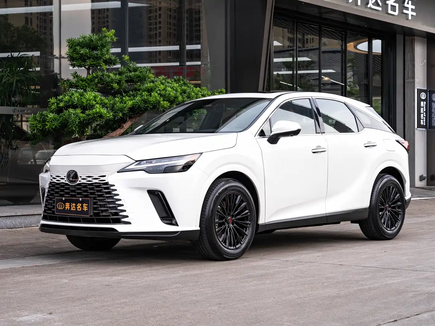Lexus RX 2025 300 4WD Premium Edition