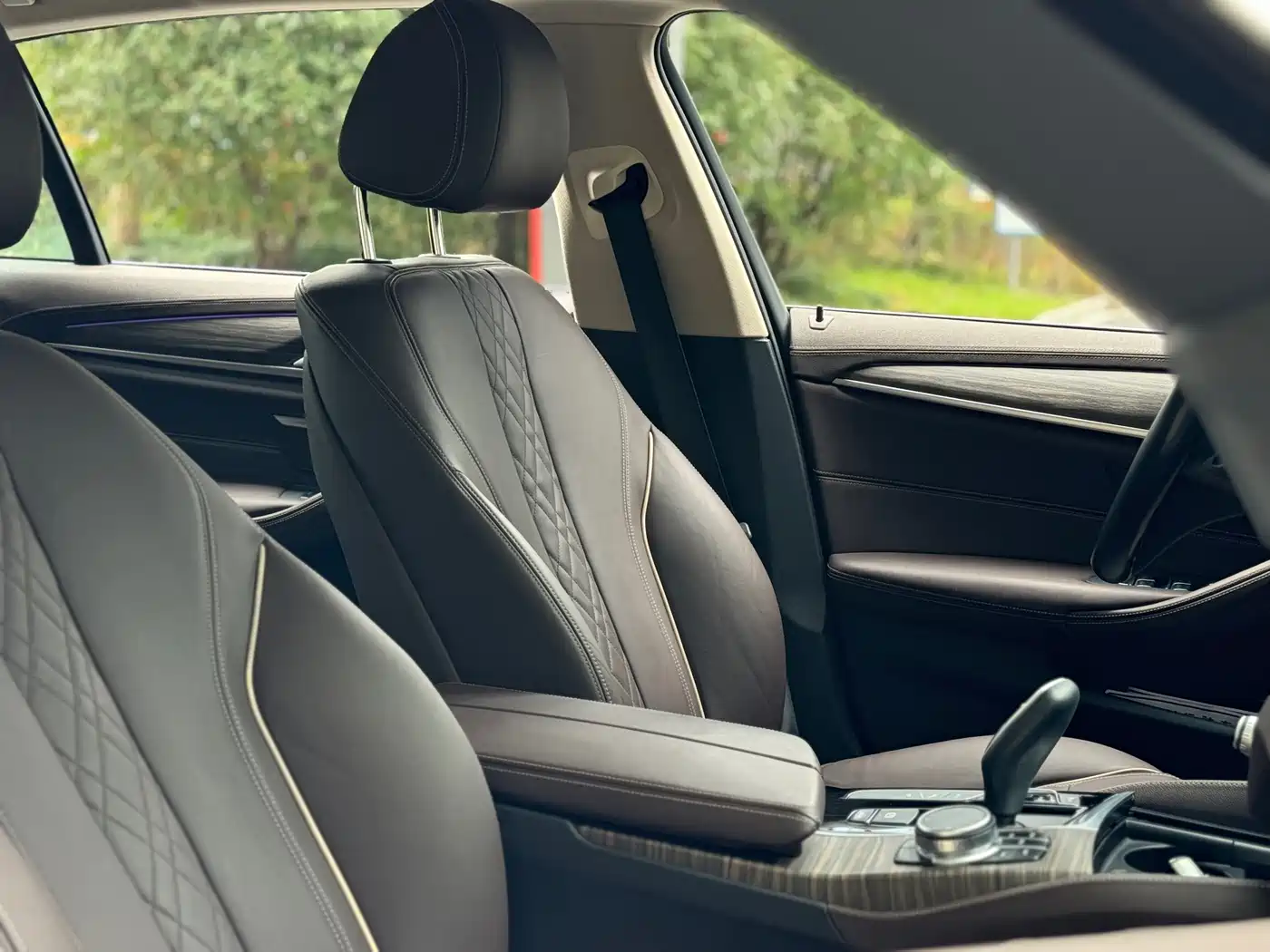 BMW 5 Series New Energy 2020 530Le Range Upgrade Luxury Package фото 23