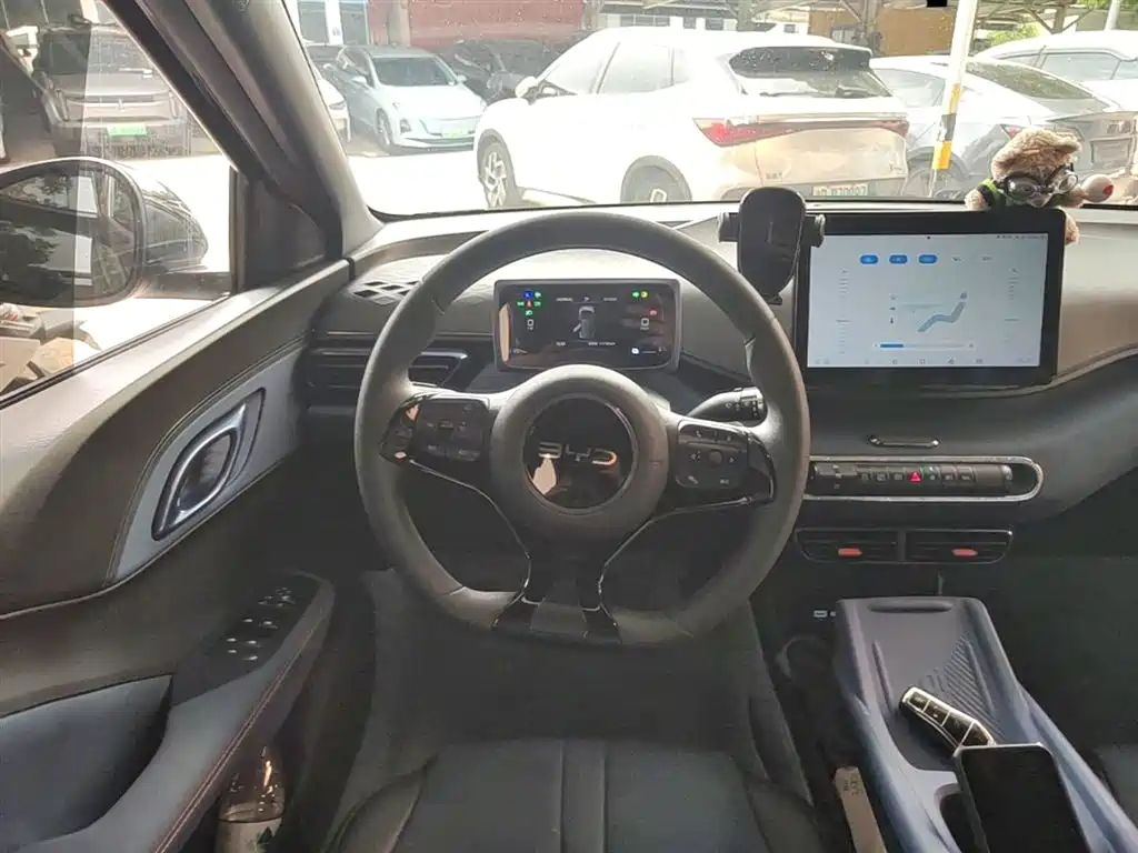 BYD Seagull 2024 Glory Edition 305km Vitality Edition фото 11