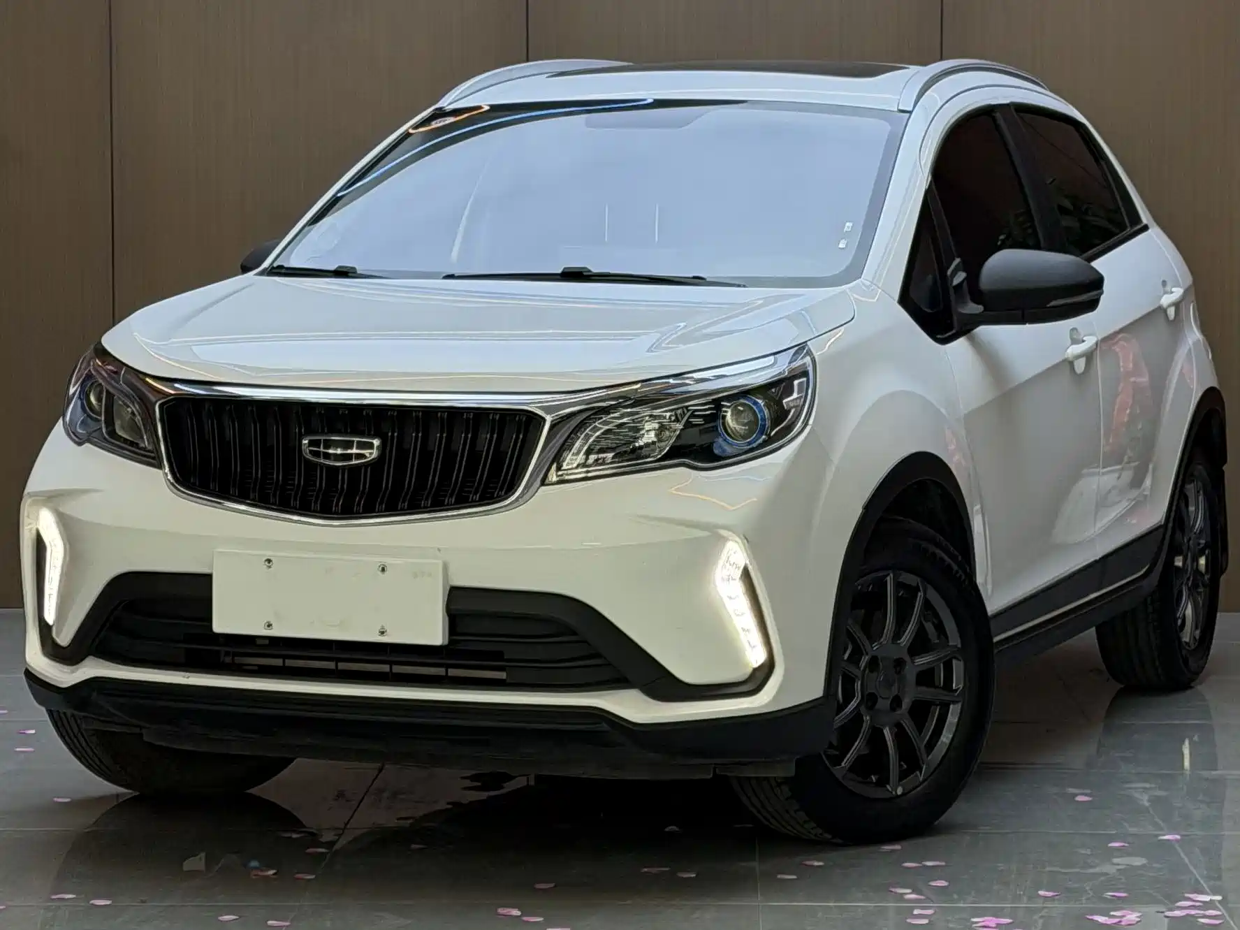 Фото 6 - Geely Vision X3