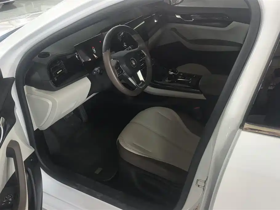 BYD Qin PLUS 2024 Glory Edition DM-i 55KM Leading фото 9