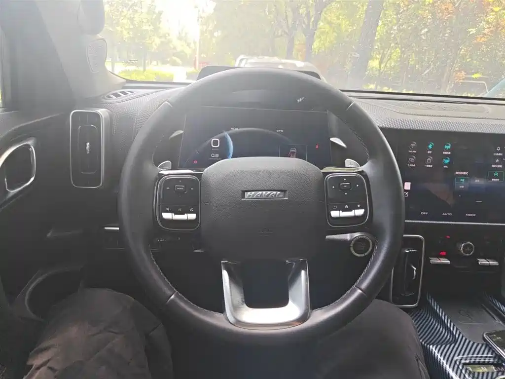 Haval Big Dog 2022 1.5T DCT FWD Border Collie Edition фото 7