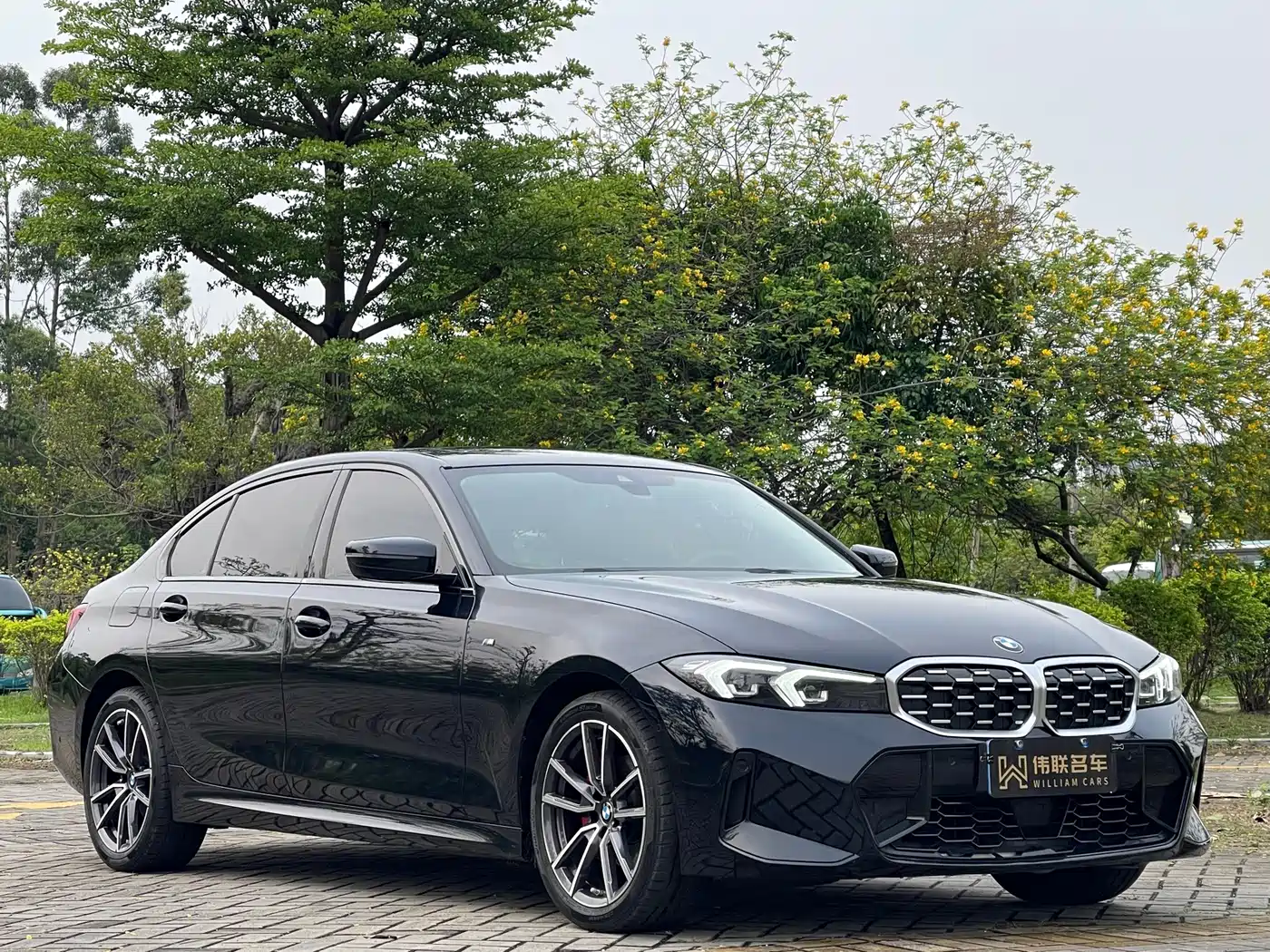 BMW 3 Series 2025 2025 325Li M Sport Package