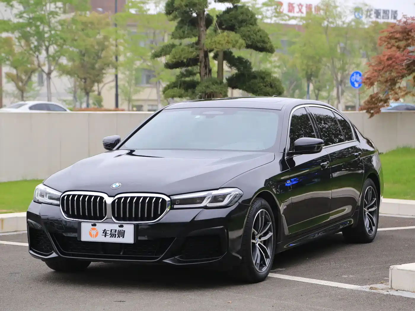 BMW 5 Series New Energy 2021 535Le Pioneer Edition M Sport Package