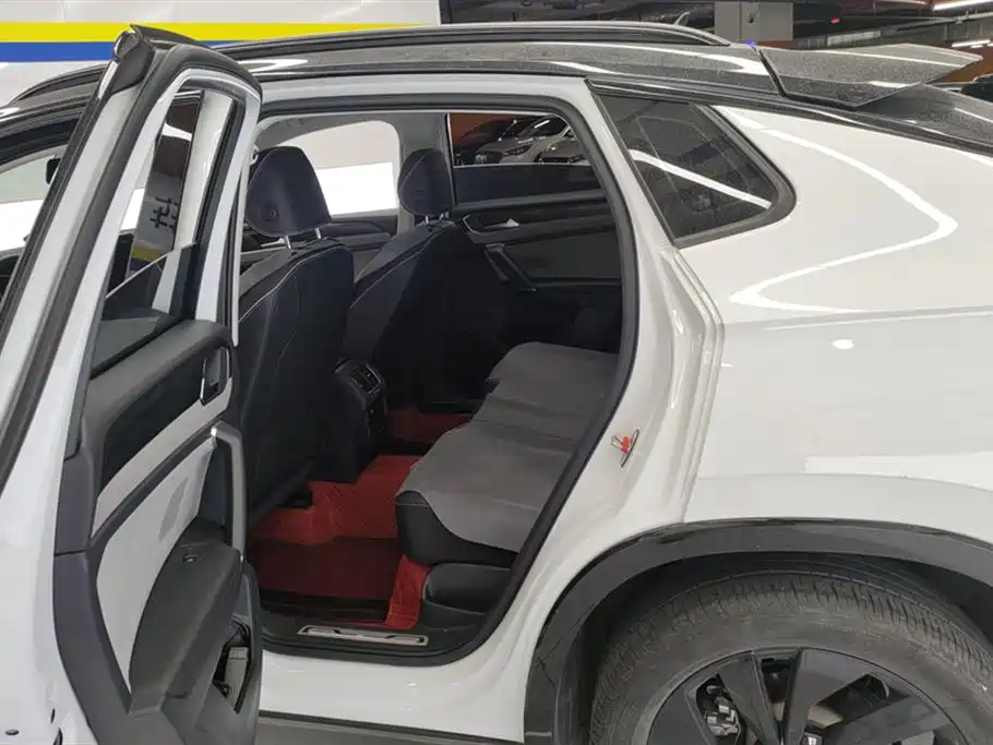 VOLKSWAGEN TANYUE X