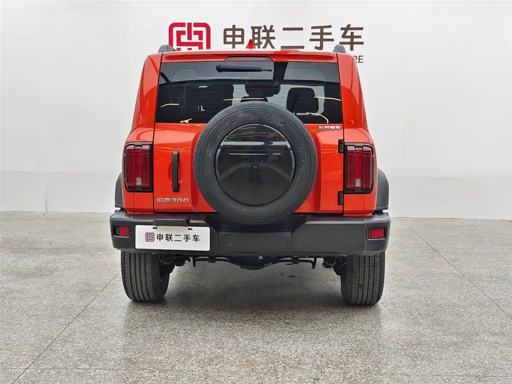 Tank 300 2023 Off-Road Edition 2.0T Conqueror фото 2