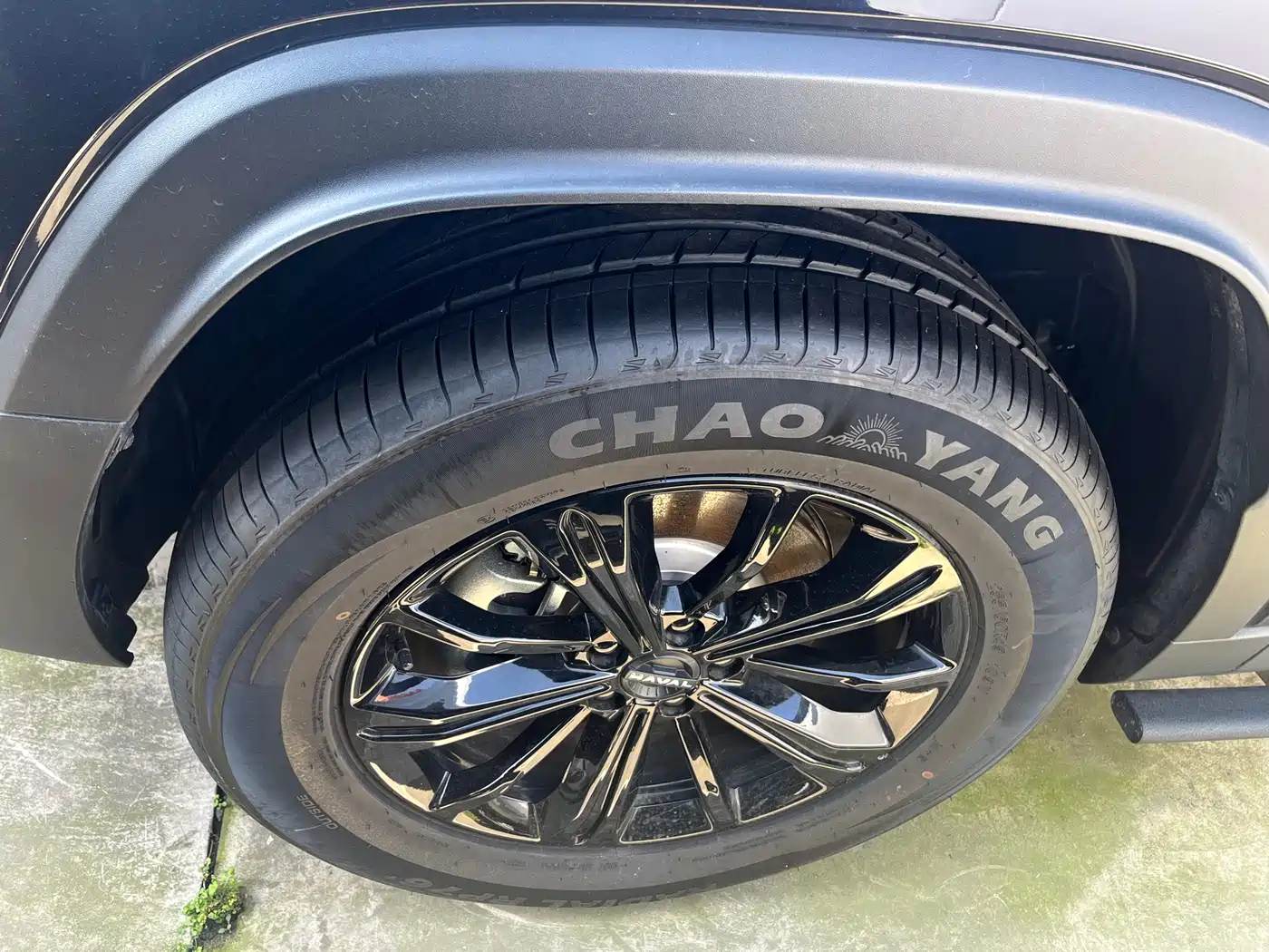 HAVAL RAPTORS NEW ENERGY