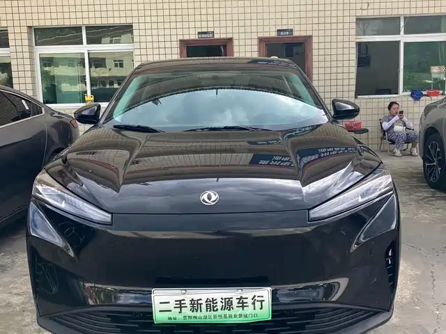 Dongfeng Aeolus SKY EV01 2024 530km PRO Elite Edition
