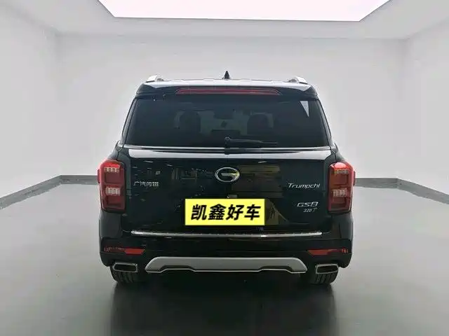 GAC Trumpchi Trumpchi GS8 2017 320T 2WD Luxury Smart Connect (7-seater) фото 6