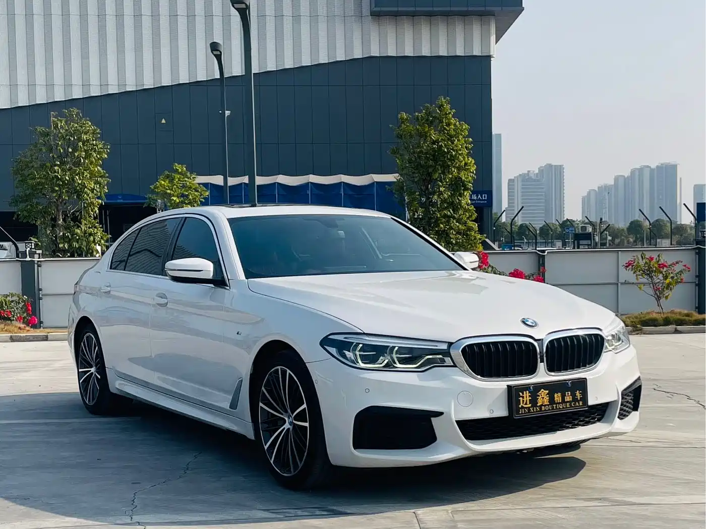 BMW 5 Series 2020 530Li Leading M Sport Package фото 3