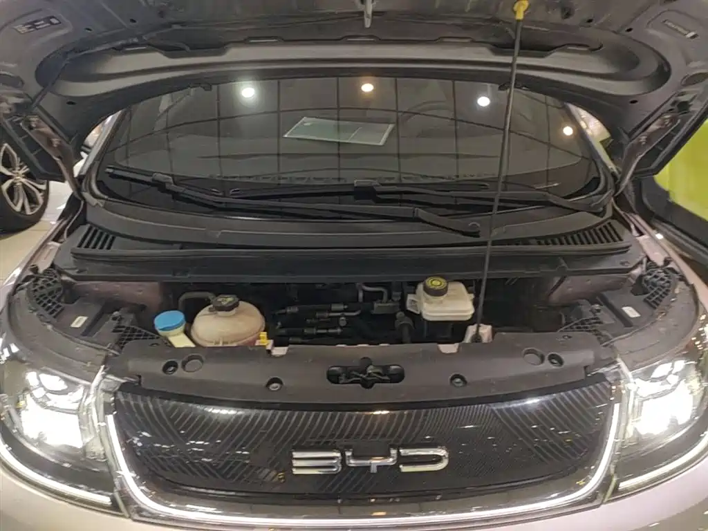 BYD Dolphin 2021 401km Knight Edition фото 20
