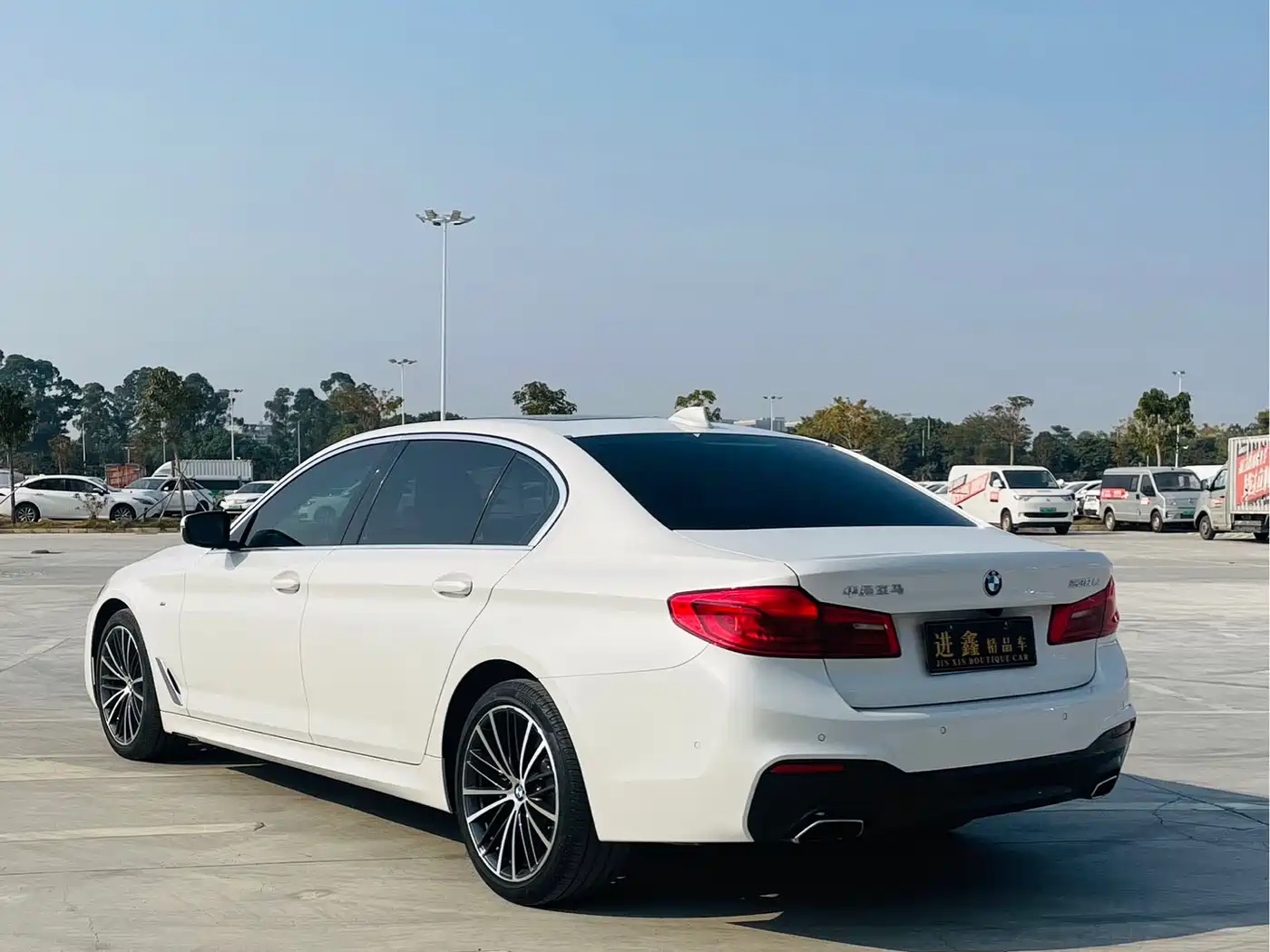 BMW 5 Series 2020 530Li Leading M Sport Package фото 6