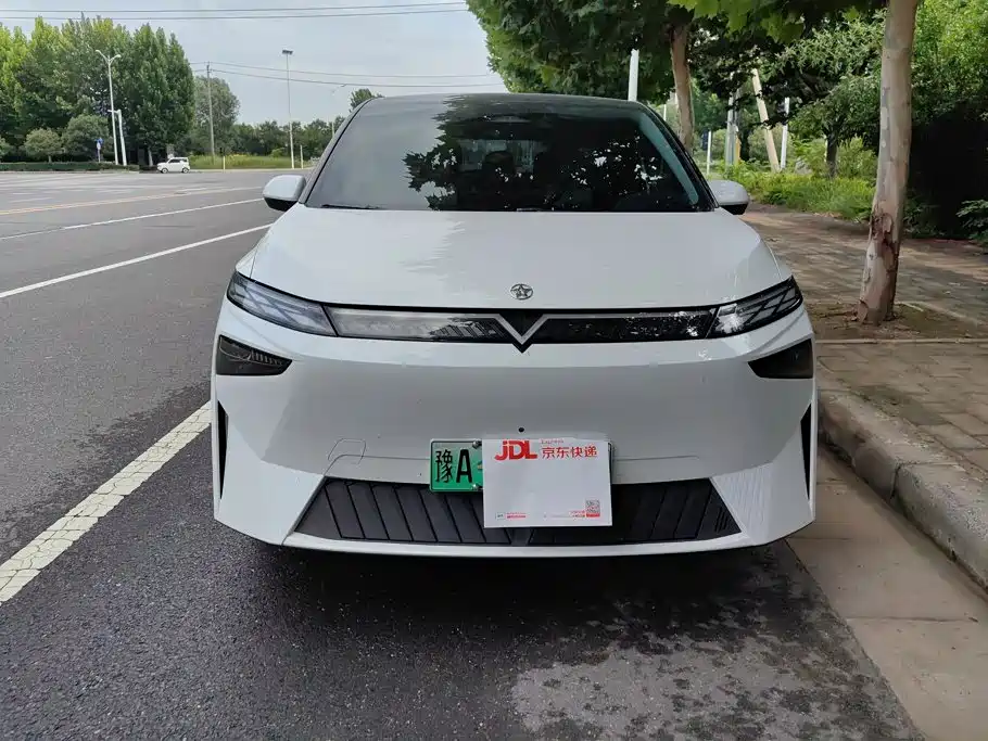 2025 Venucia VX6