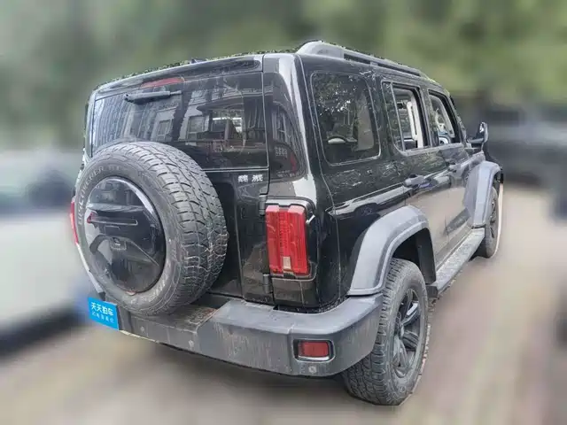 Tank 300 2021 Off-road Version 2.0T Conqueror — фото 2