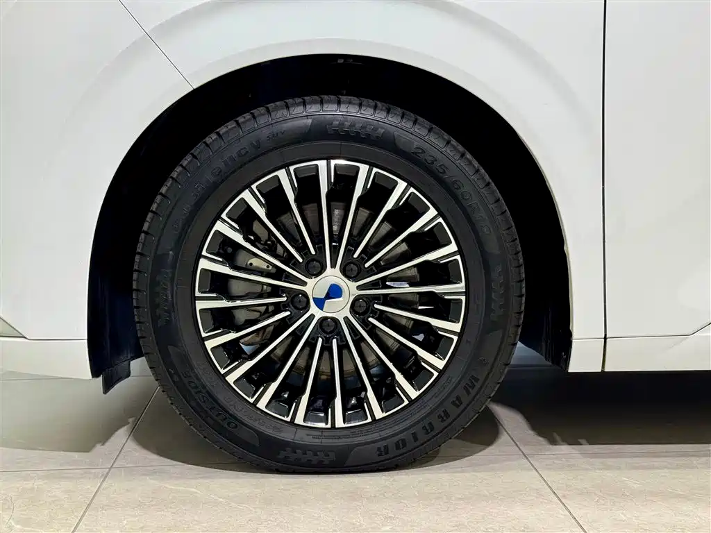 Denza D9 2024 DM-i 980 AWD Prestige фото 10