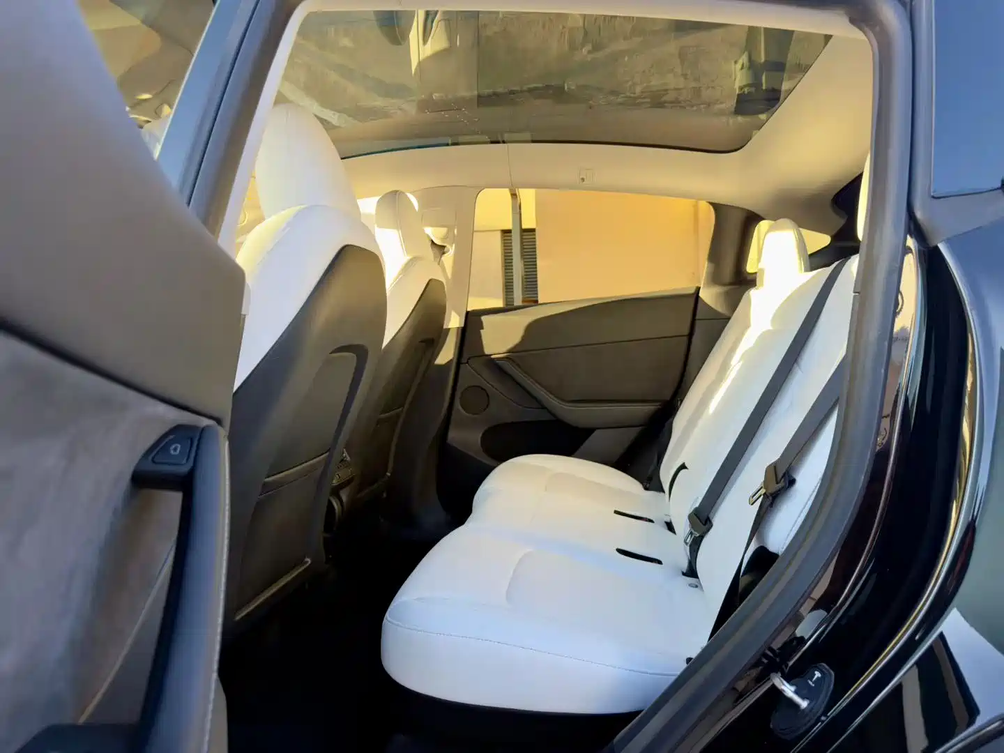 Фото 5 - Tesla Model Y