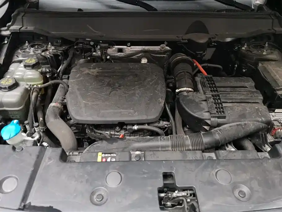 HAVAL SECOND GENERATION BIG DOG NEW ENERGY