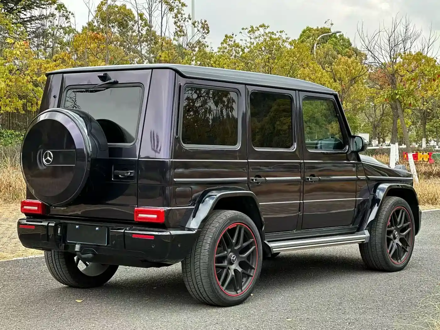 Mercedes-Benz G-Class 2017 G 500 фото 4