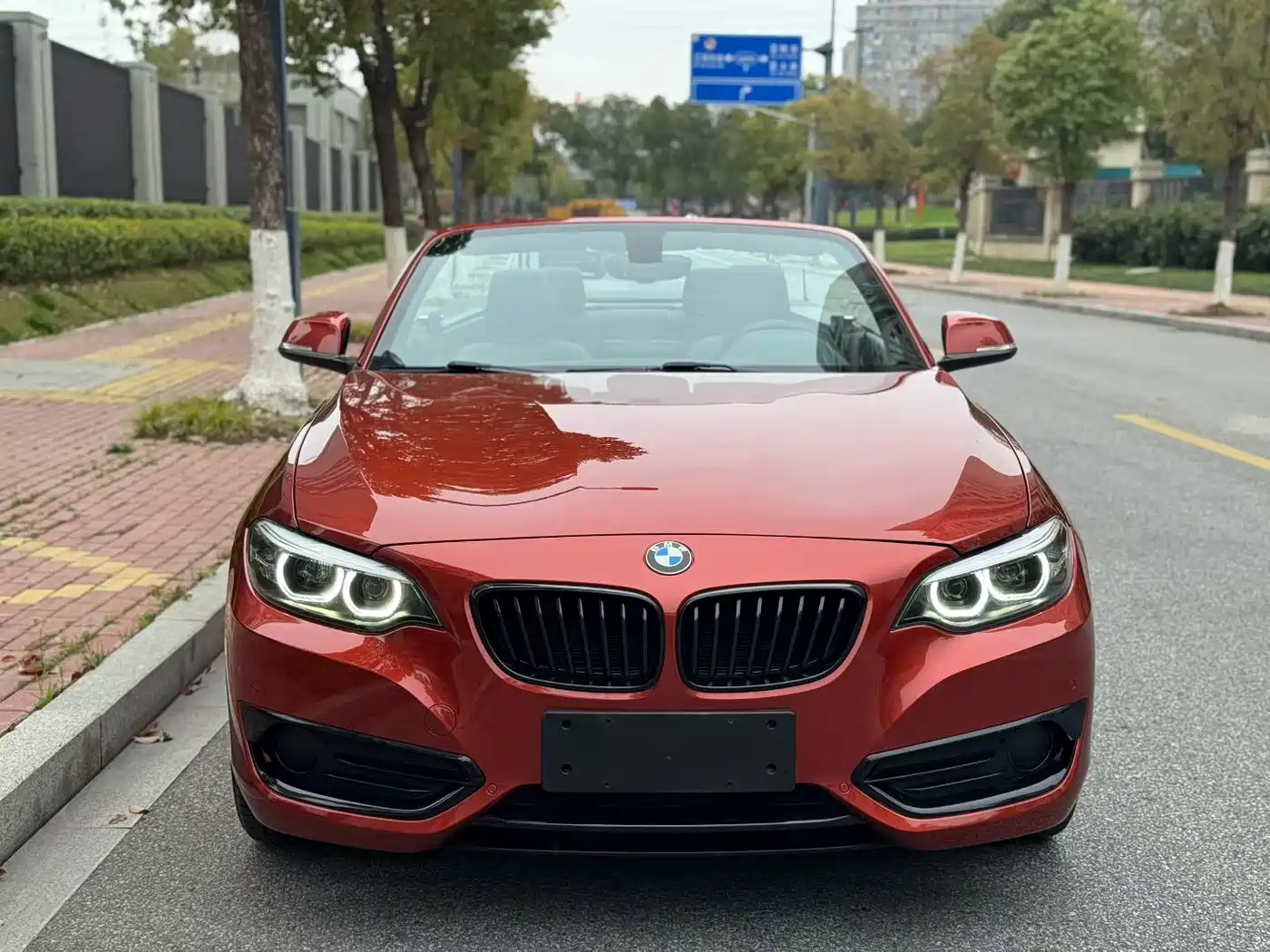 BMW 2 Series (Import) 2019 225i Convertible Coupe Sport Design Package фото 2