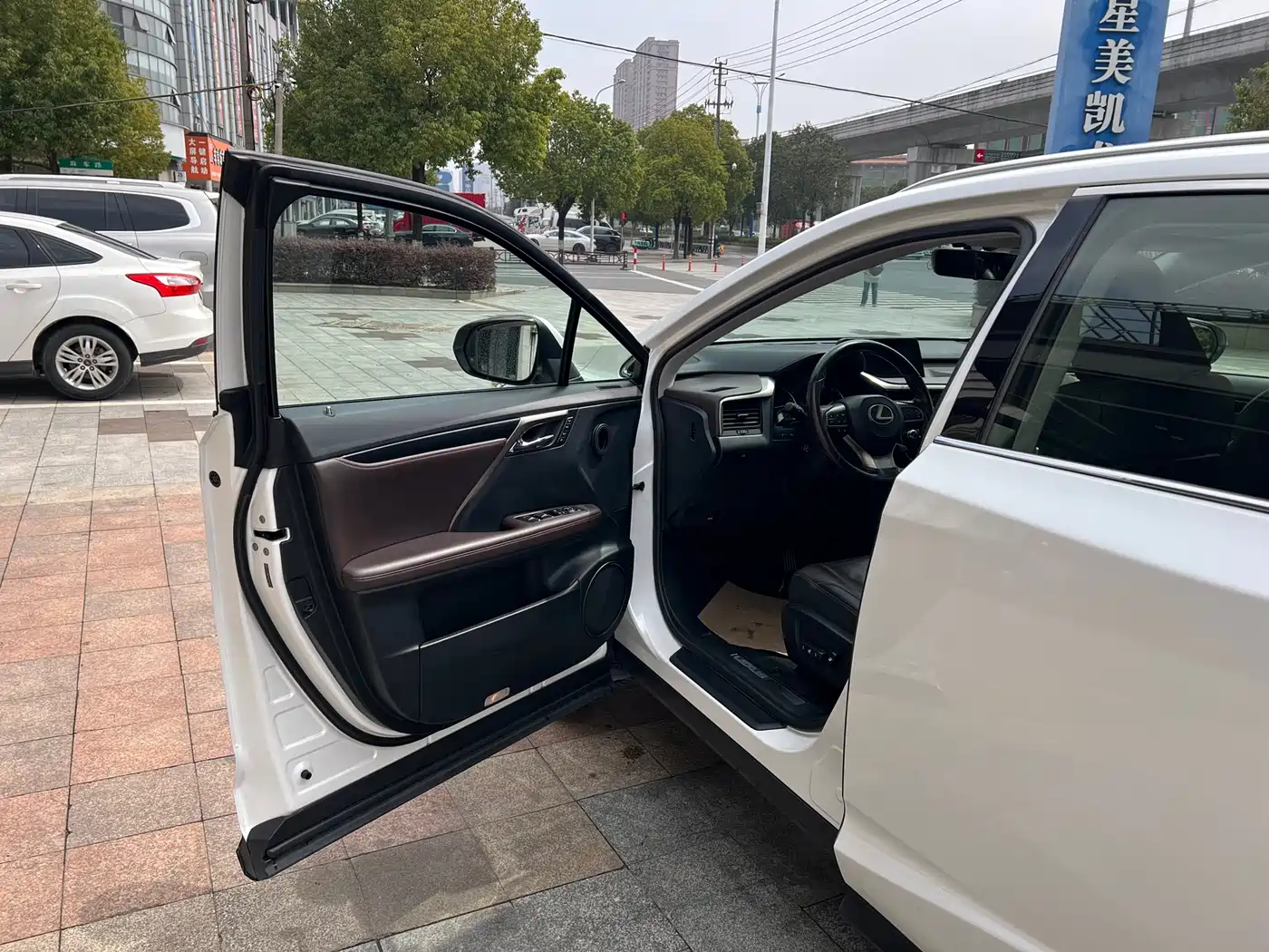 LEXUS RX