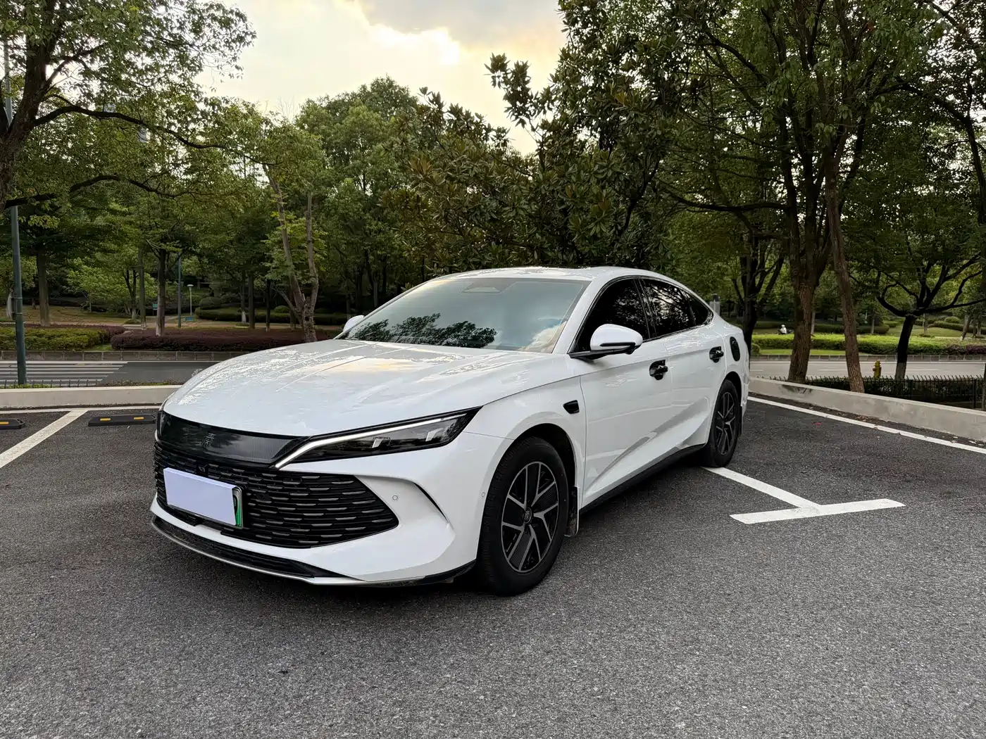 BYD Qin L 2024