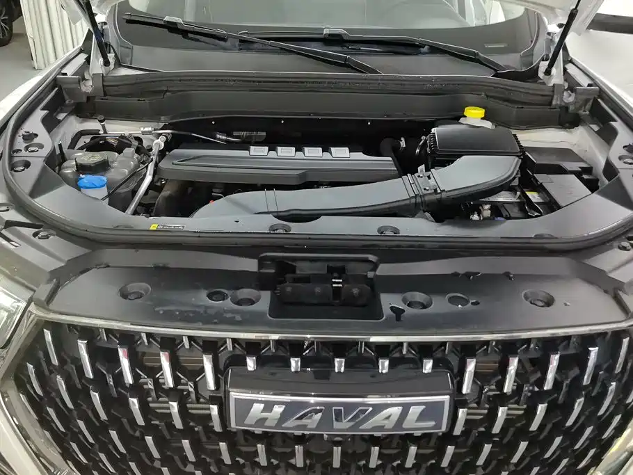 Haval H6 2025 2023 National Trend Edition 1.5T Automatic Champion
