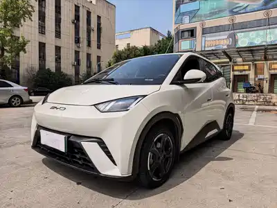 BYD Seagull