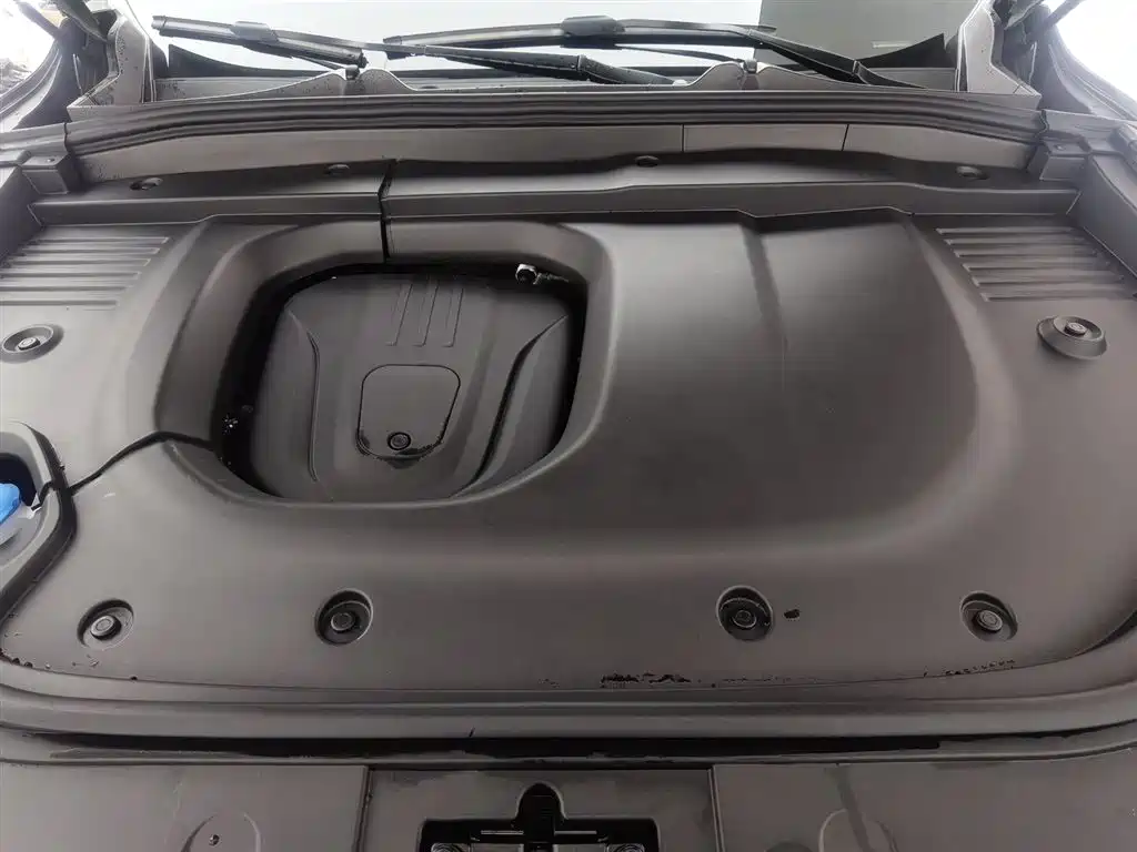 WEI PAI WEI BRAND BLUE MOUNTAIN