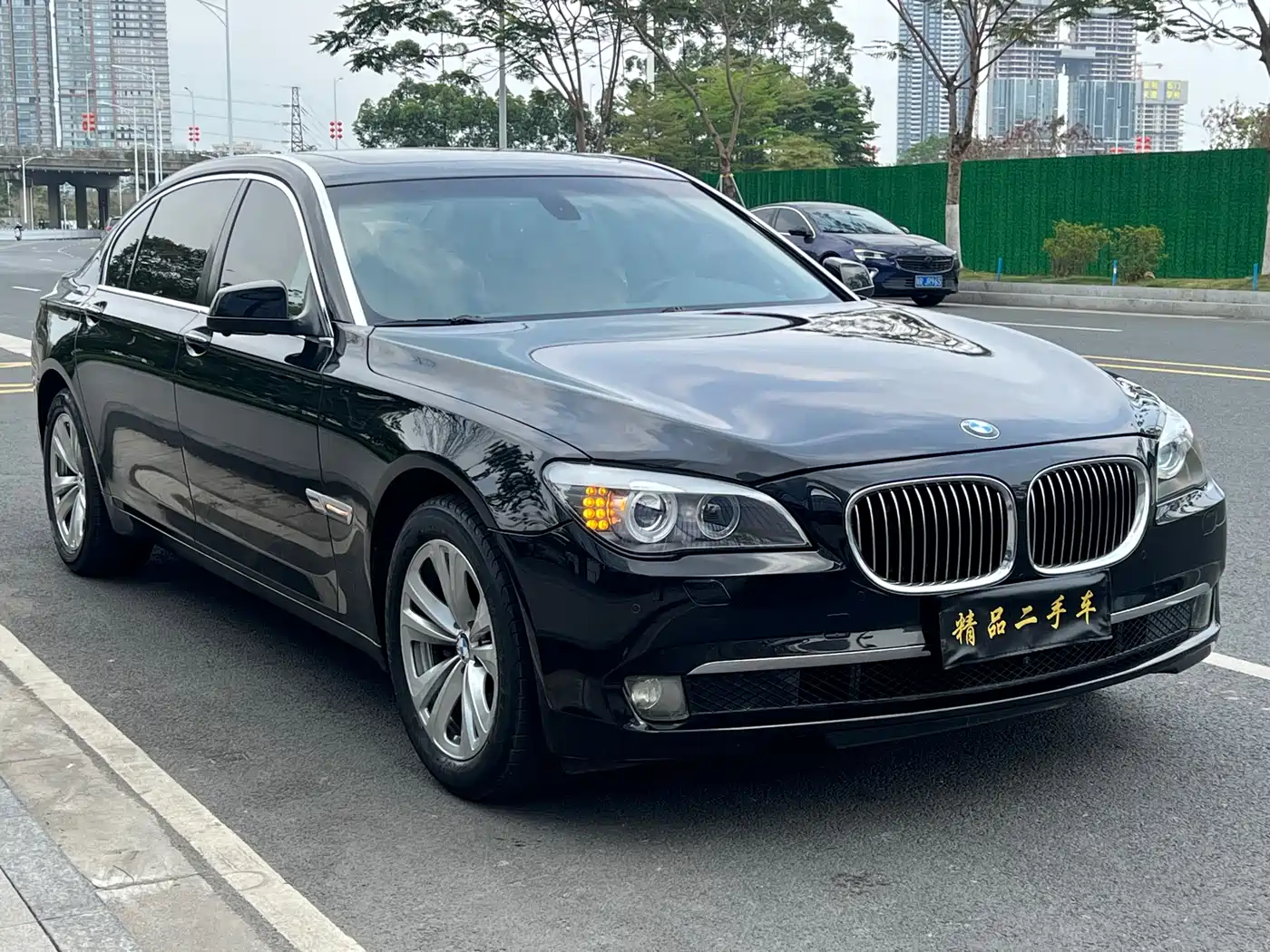 BMW 7 Series 2009 730Li Leading фото 3