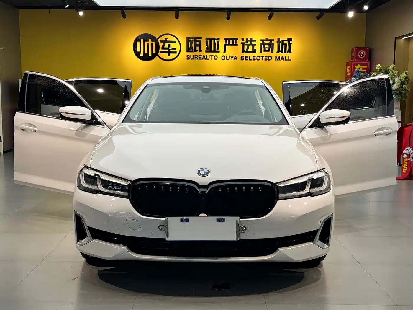 BMW 5 Series 2021 530Li Premium Luxury Package фото 11