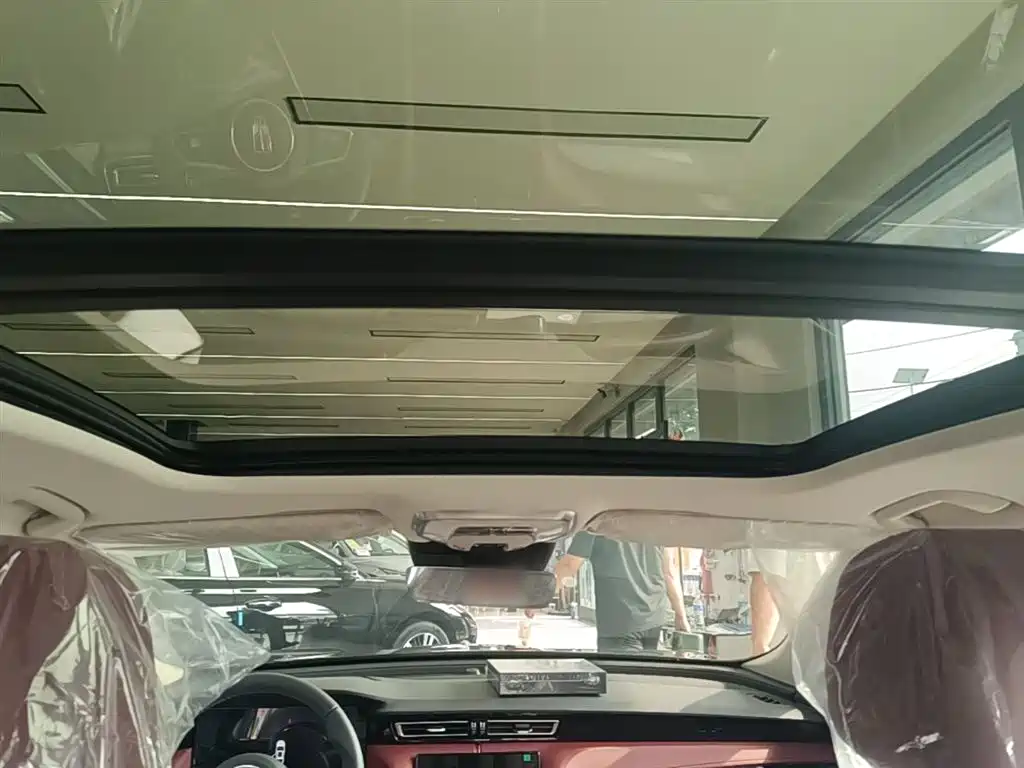Hongqi H5 2025 2.0T Automatic Flag Celebration 500,000 Units Anniversary Edition фото 18