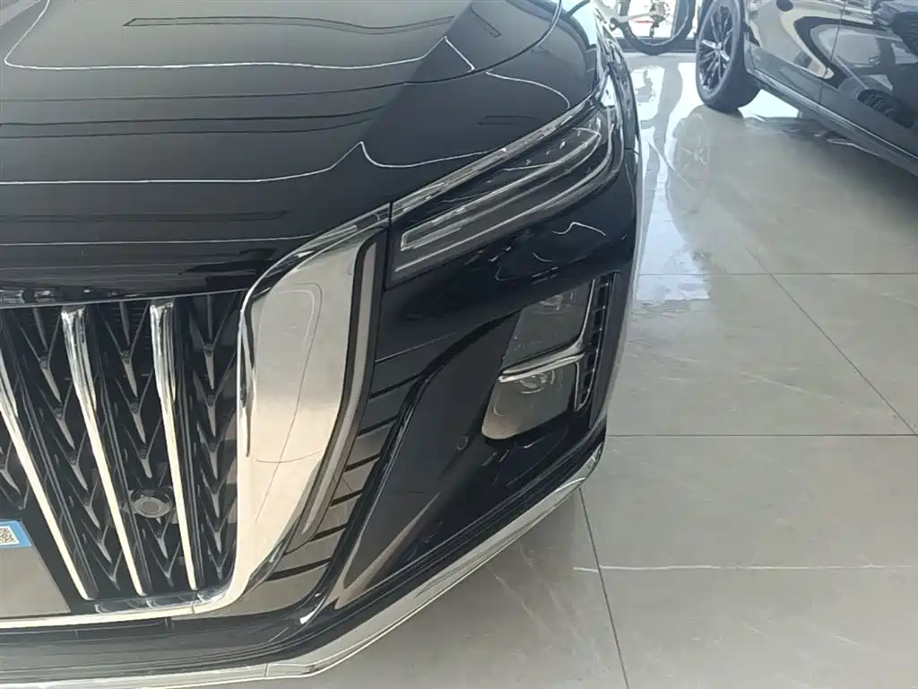Hongqi H5 2025 2.0T Automatic Flag Celebration 500,000 Units Anniversary Edition фото 24