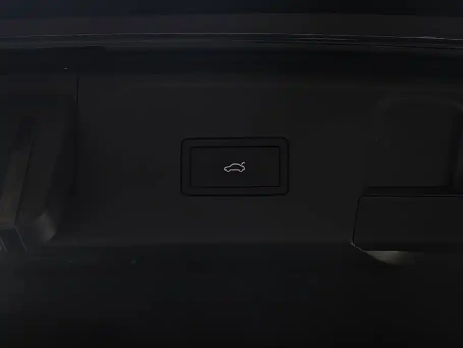 Volkswagen Teramont 2022 380TSI 4MOTION Premium Luxury фото 9