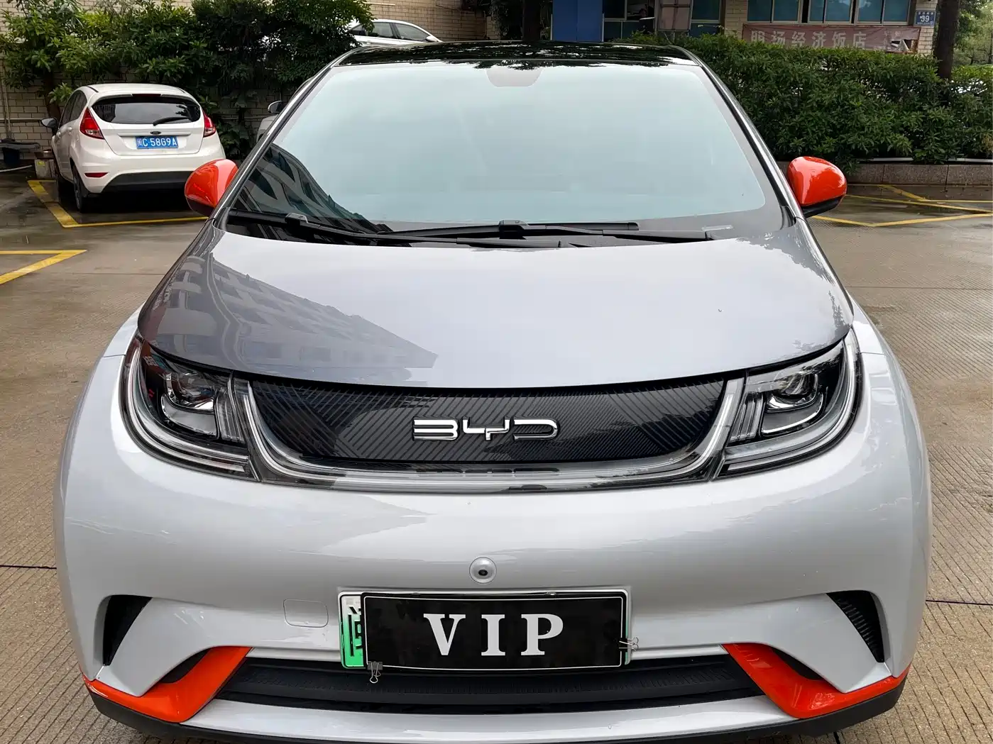 BYD Dolphin 2021 Model 405km Fashion Edition фото 2
