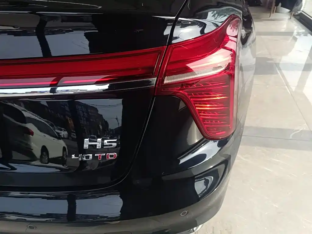 Hongqi H5 2025 2.0T Automatic Flag Celebration 500,000 Units Anniversary Edition фото 8