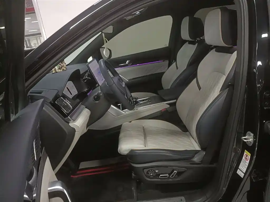 BYD Tang New Energy 2024 EV Glory Edition 600KM Premium фото 15