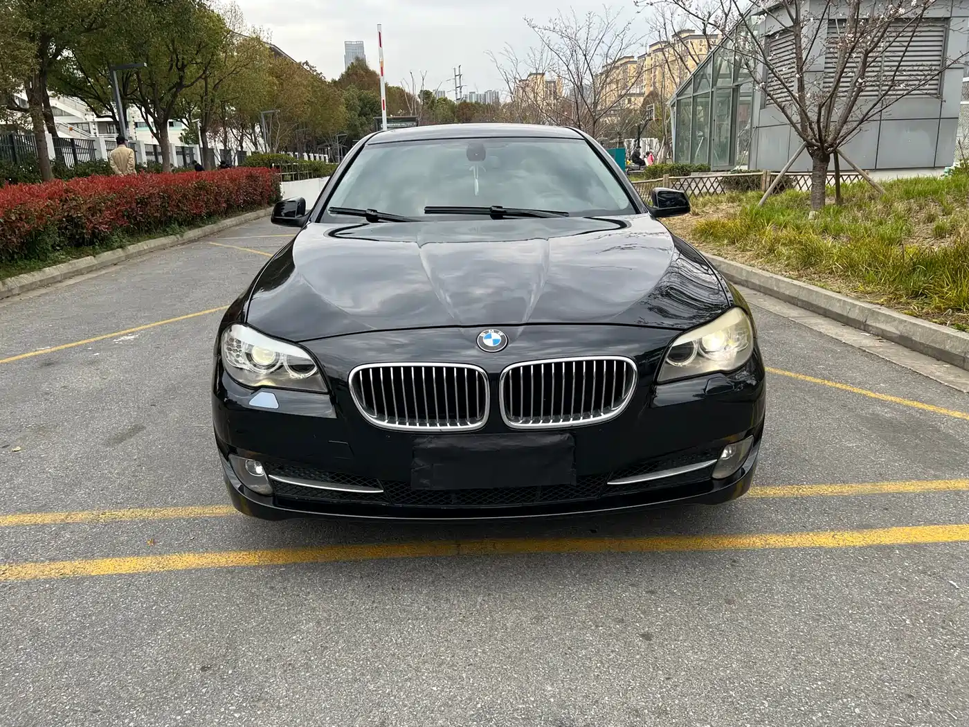 BMW 5 Series 2012 520Li Elegance фото 2
