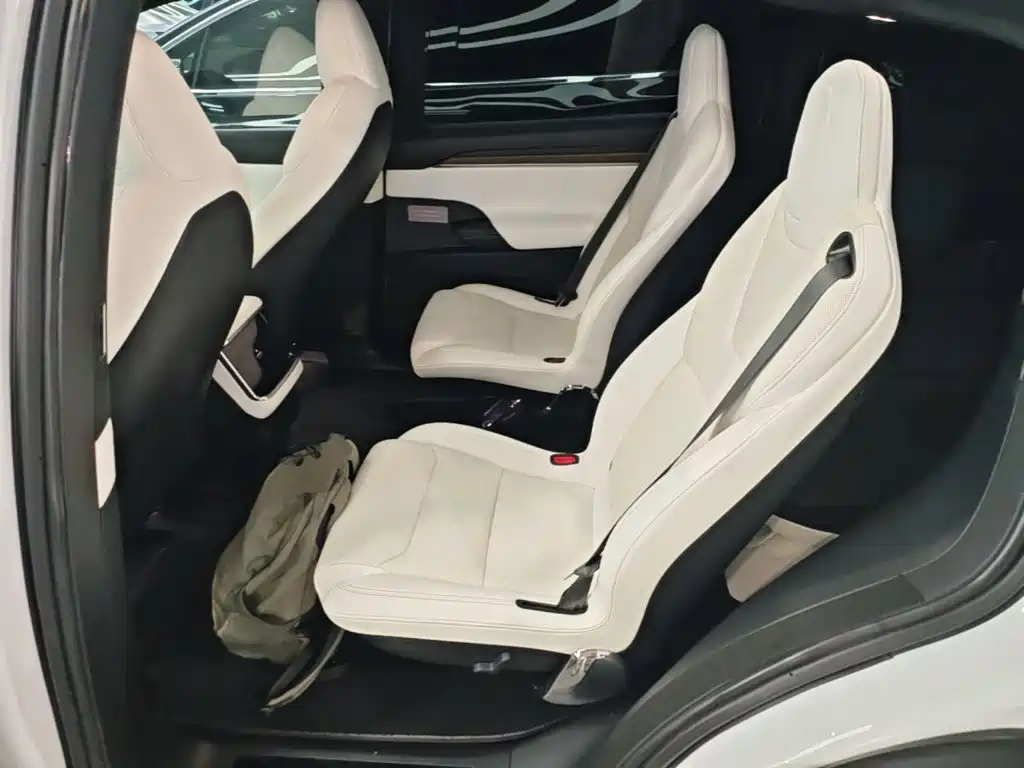 Фото 17 - Tesla Model X
