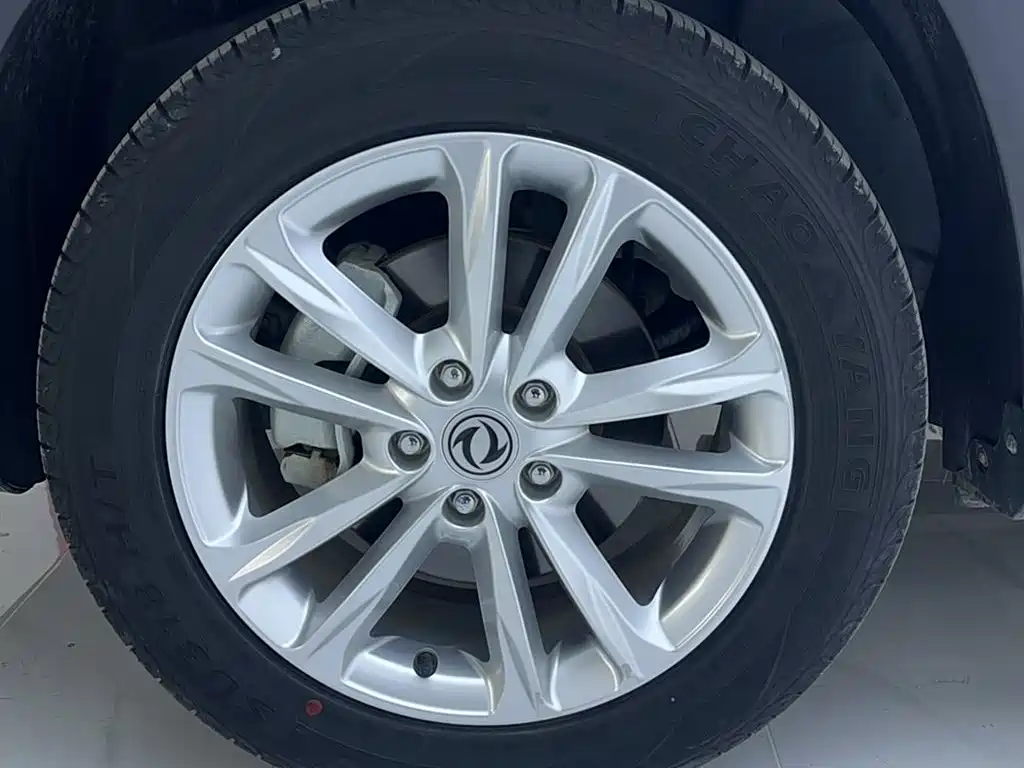 DONGFENG SCENERY S560