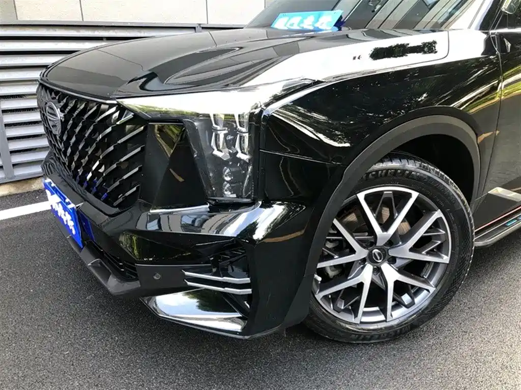 GAC Trumpchi Trumpchi GS8 2022 Pilot Series 2.0TGDI 2WD Luxury Smart Connect Edition (7-Seater) фото 3